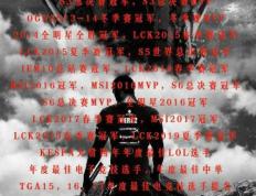 AYX- kpl历史击杀榜 